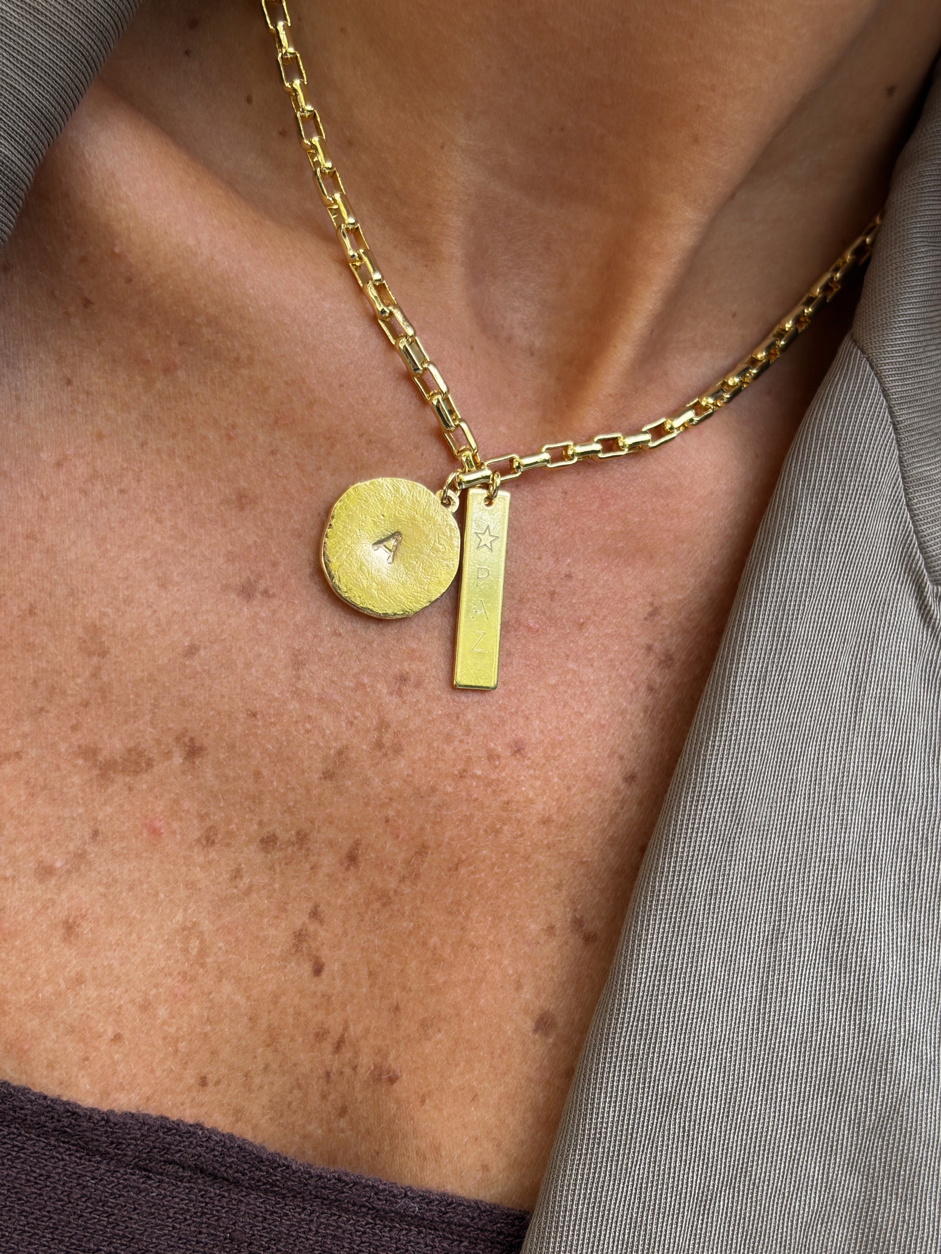 Collar personalizable placa y medalla