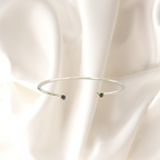 ESCLAVA CIRCONES ANA (Plata/Oro)